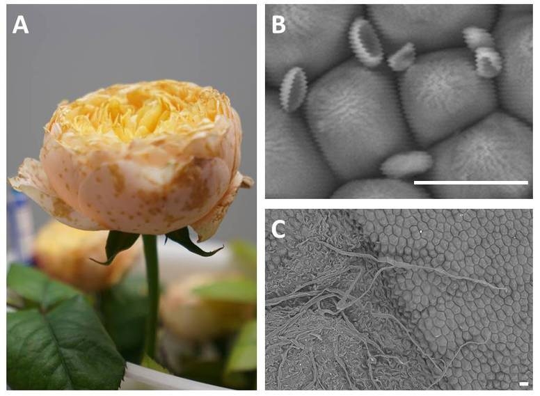 d4eeedad-8864-4bc3-a503-f95973e844be